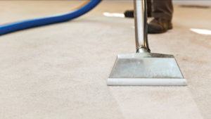 Carpet Cleaners Northern Beaches