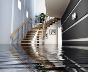 Flood Restoration Northern Beaches